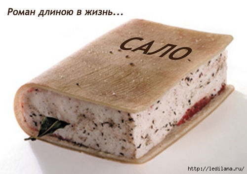 3925311_salo (500x353, 75Kb)